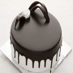 Gleaming Chocolate cake