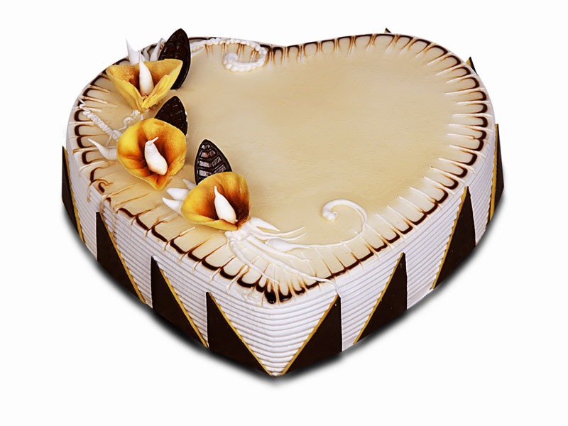 Hearty Symphony Cake